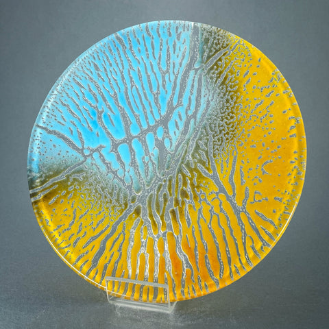 Glass Plate by Sam Burke