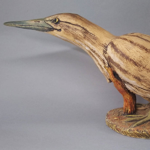 Bittern