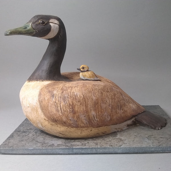 Canada Goose