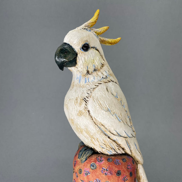 Cockatoo by Hilary Audus