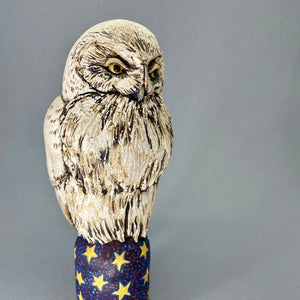 Snowy Owl by Hilary Audus 