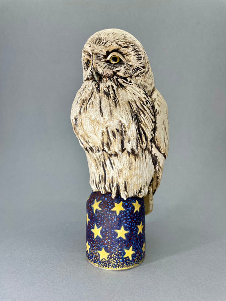 Snowy Owl by Hilary Audus 