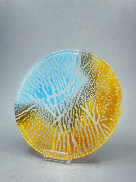 Glass Plate by Sam Burke