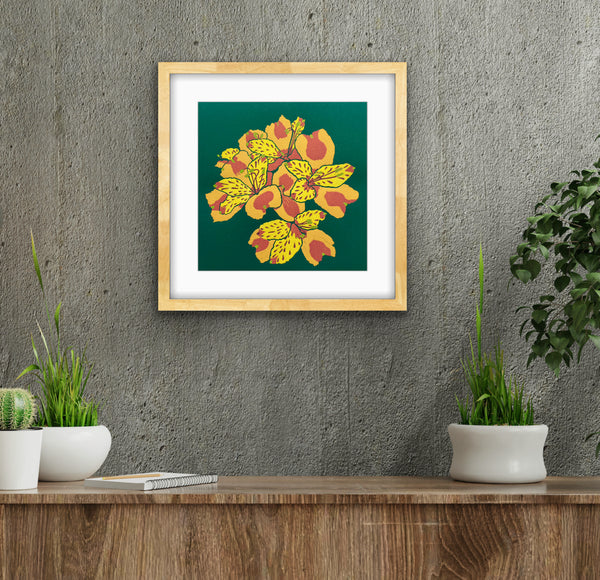 Peruvian Lily by Nathalie Pymm