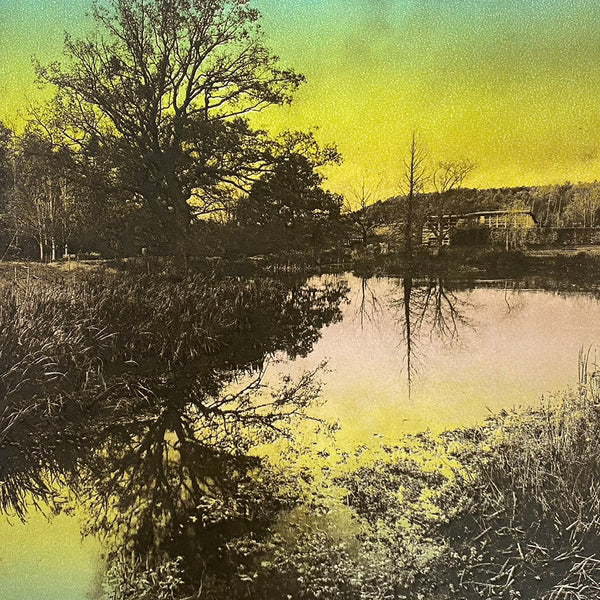 Reflection I (Harlow Carr)