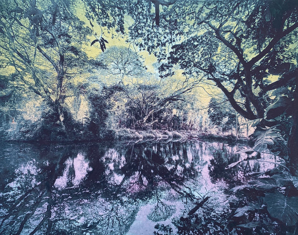 Serene forest scene with a pond reflecting trees and sky taken in Serendip in Sri Lanka - hand-pulled print made with photoetching plates 
