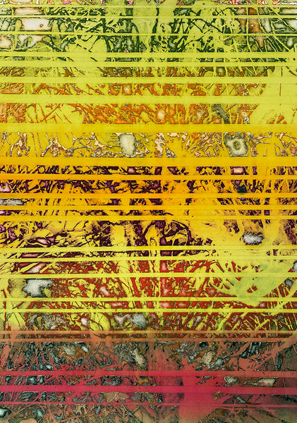 Colorful abstract Photoetching with a gradient from yellow to red representing mycelia