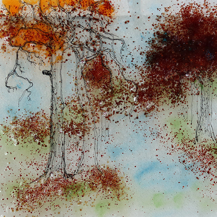 Through the Forest