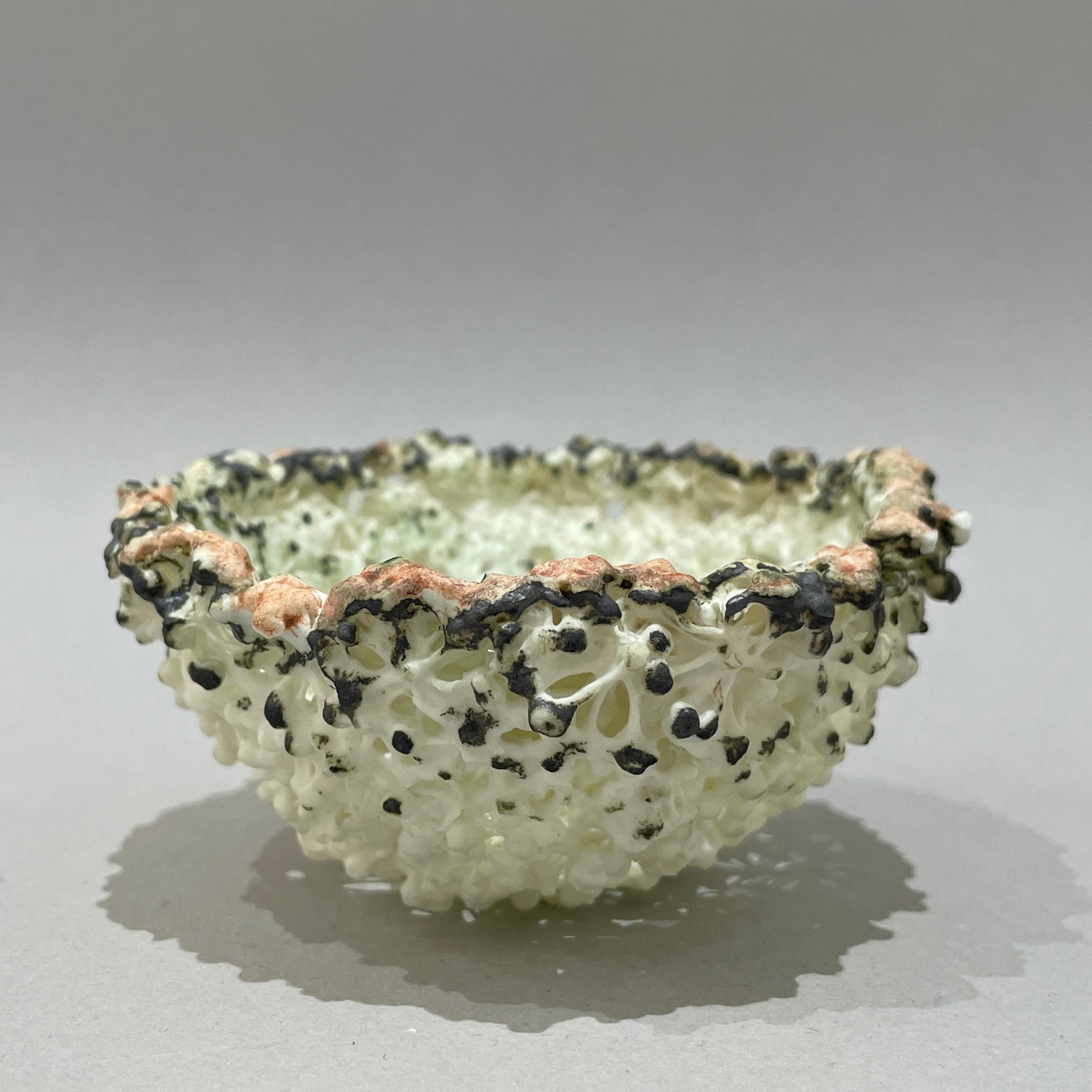 Cream Ivy Seed Head Bowl Dorothea Reid
