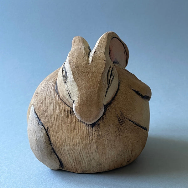 Grooming Rabbit