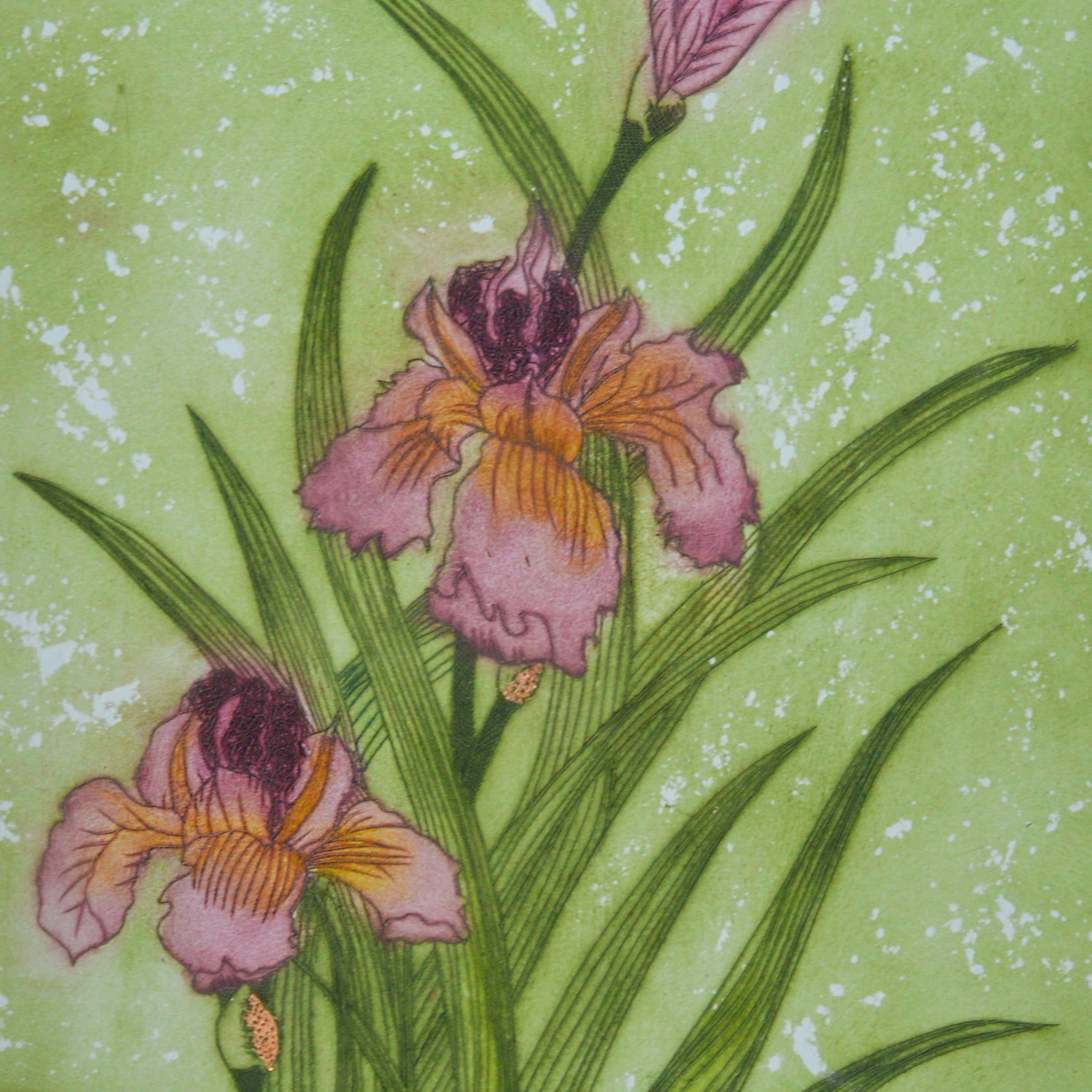 Three Irises by Jeannelise Edelsten