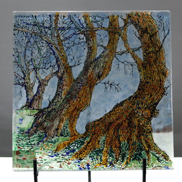 Ancient Trees by Tlws Johnson